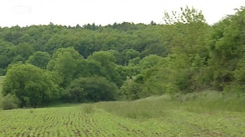 Černé ovce - 12. června 2013