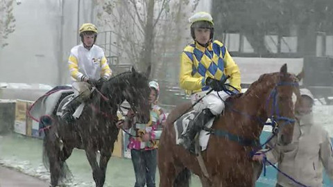 Turf - 30. října 2012