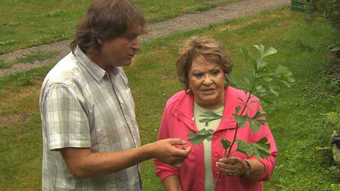 Hobby naší doby - 17. října 2015