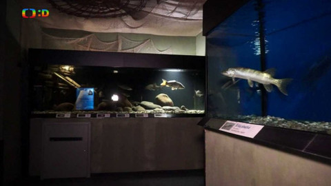 Tamtam - 19. října 2019