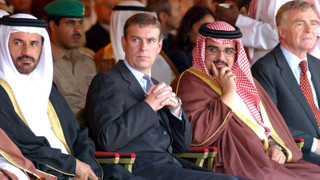 Windsorové pod drobnohledem