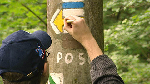 Z metropole - 19. října 2013