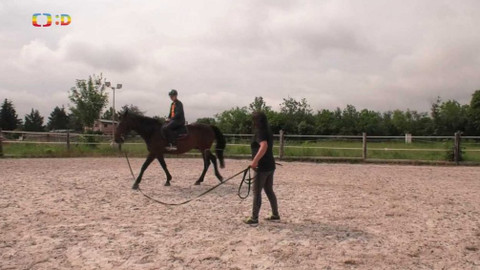 Wifina - 18. září 2020