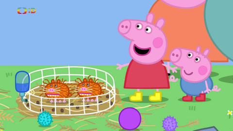 Prasátko Peppa - Morčata