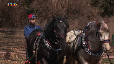 Zprávičky - 11. března