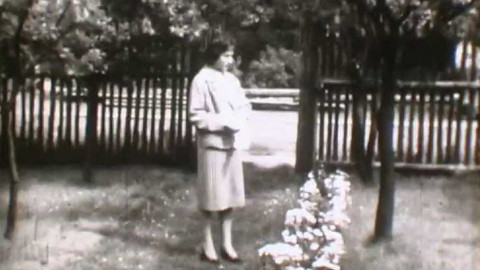 Soukromé století - Nízký let