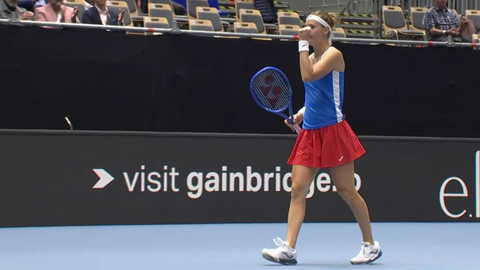 Billie Jean King Cup - Česko - Brazílie