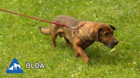 Chcete mě? - Chcete je?