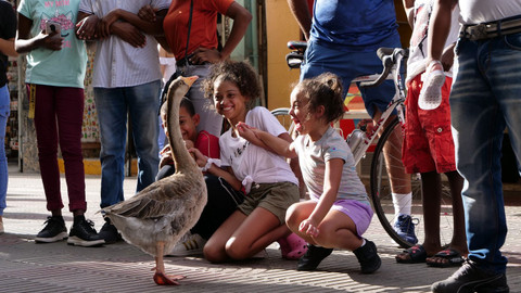 Na cestě - Na cestě po Santo Domingu