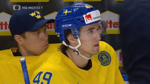 MS v ledním hokeji 2017 Německo a Francie - Švédsko - Slovensko