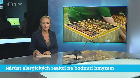Události v regionech (jih a západ) - 1. srpna 2024
