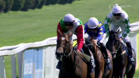 Dostihy - České derby