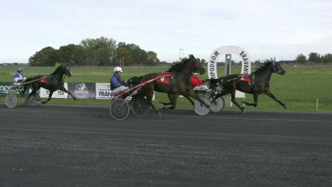 Dostihy - Velká cena Moravskoslezského kraje