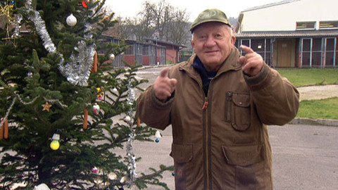 Chcete mě? - 24. prosince 2011