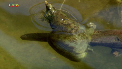 Terčin zvířecí svět - 24. června 2022