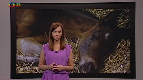 Zprávičky - 19. ledna 2015