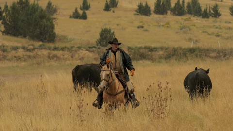Vůně cizích krajů - Oregon, Divoký západ