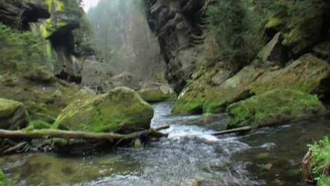 Živé srdce Evropy - Údolí Kamenice