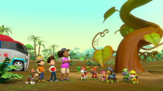 Tlapková patrola III