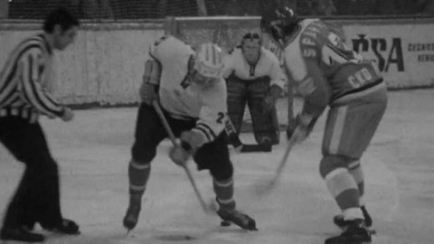 Archiv D - Češi a Slováci