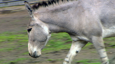 Chcete mě? - 21. září 2014