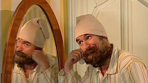 Alotria Michala Nesvadby - Vousy