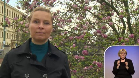 Sváteční slovo - Sváteční slovo publicistky Alexandry Alvarové