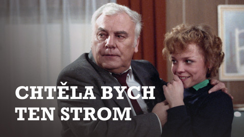 Chtěla bych ten strom