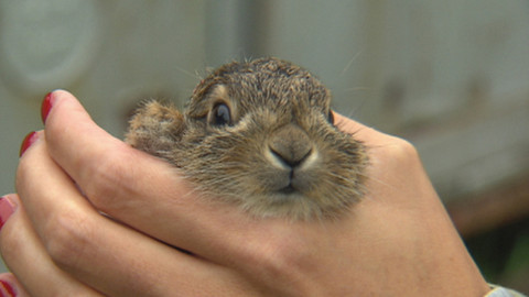 Chcete mě? - 14. září 2014