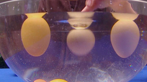 Věda je zábava - Epizoda 13/26