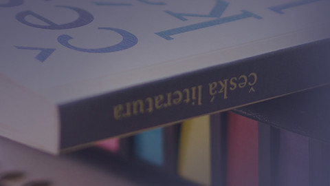 První bilance české literatury - Kritická bilance: česká literatura 2025