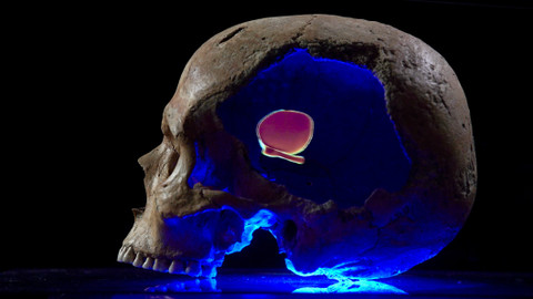 Odysea: Mýtus nebo realita? - 3/6 Obři a milenci