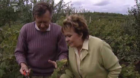 Dobrá rada nad zlato - 17. října 2009