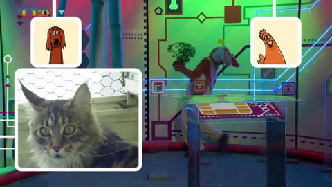 Telefon - 20. října 2017