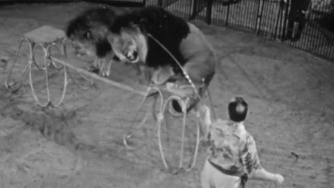 Chvilka v maringotce - Jan Valášek