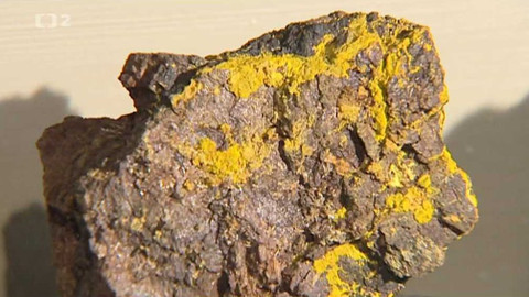 Dvaasedmdesát jmen české historie - 58/72 František Xaver Maxmilián Zippe