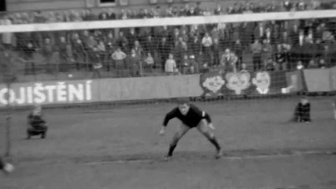 Televizní noviny - 8. května 1968