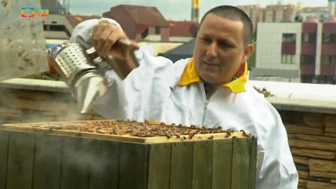 Náš zvěřinec - Včelí království