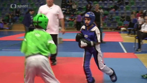 Bojové sporty - 3. února 2017