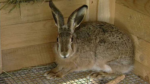 To mě baví - 3. prosince 2004