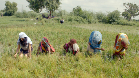 Zlatá mládež - 3/6 Na indickém venkově