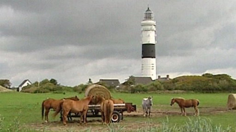 Objektiv - 25. ledna 2009