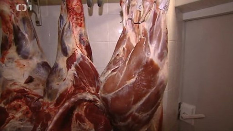 Černé ovce - 11. září 2013