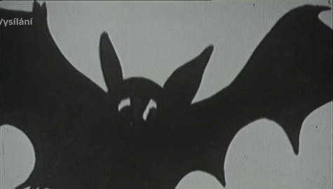 A na dobrou noc ? - Deset tisíc let Červené Karkulky