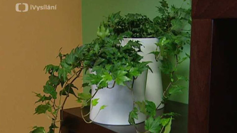 Bydlení je hra - 15. června 2007