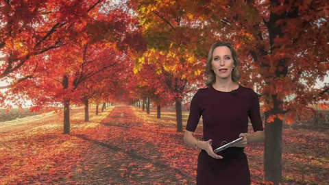 Horizont ČT24 - 31. října 2024