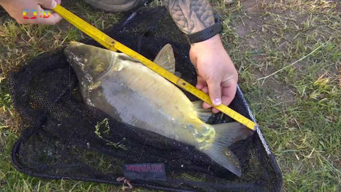 Zprávičky - 20. června 2021