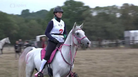 Jezdectví - M ČR a mezinárodní závody ve vytrvalosti CEI Slavošov