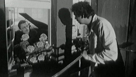 Průvan - Rodinné vztahy