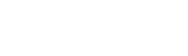 První bilance české literatury